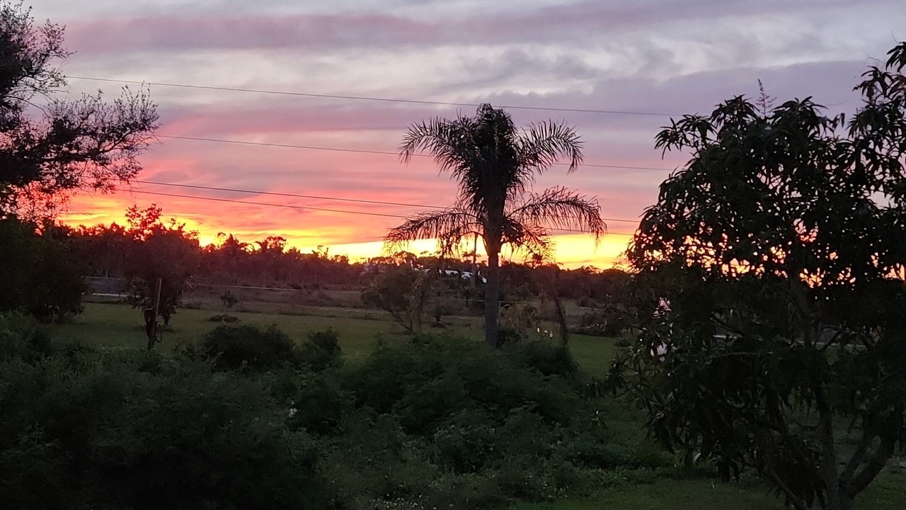 Photo of Outdoor in Bokeelia