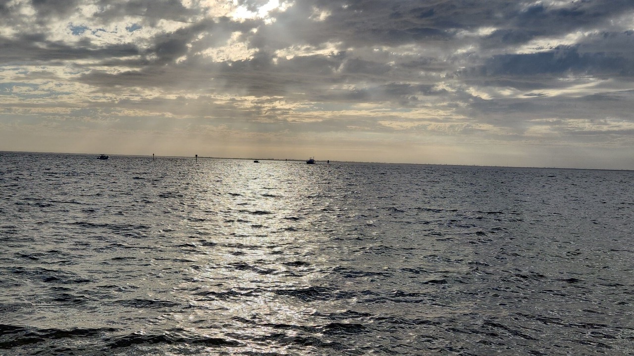 Photo of Others in Bokeelia