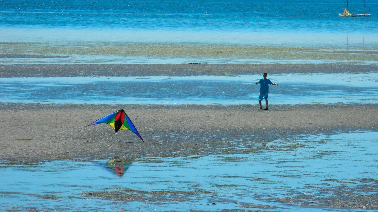 Photo of Others in Birch Bay
