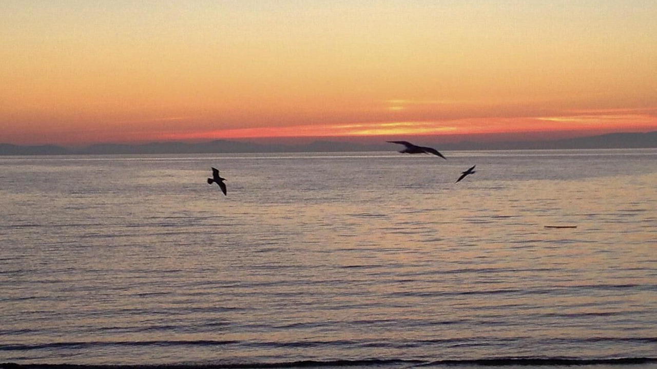 Photo of Others in Birch Bay
