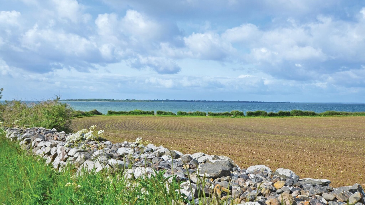 Photo of Others in Faaborg