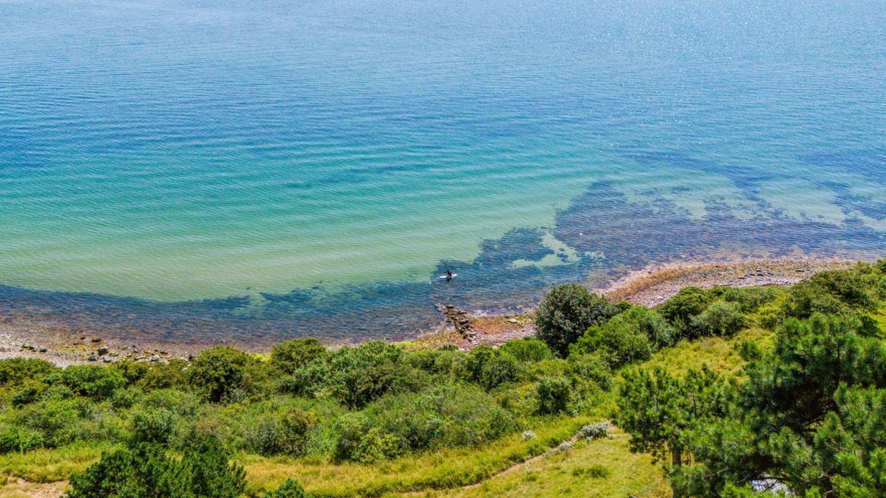 Photo of Others in Kalundborg