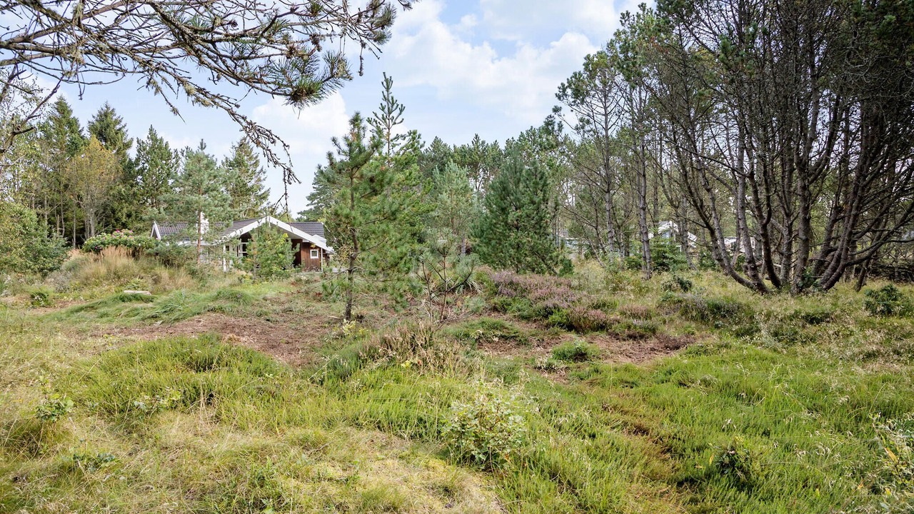 Photo of Others in Aalbaek