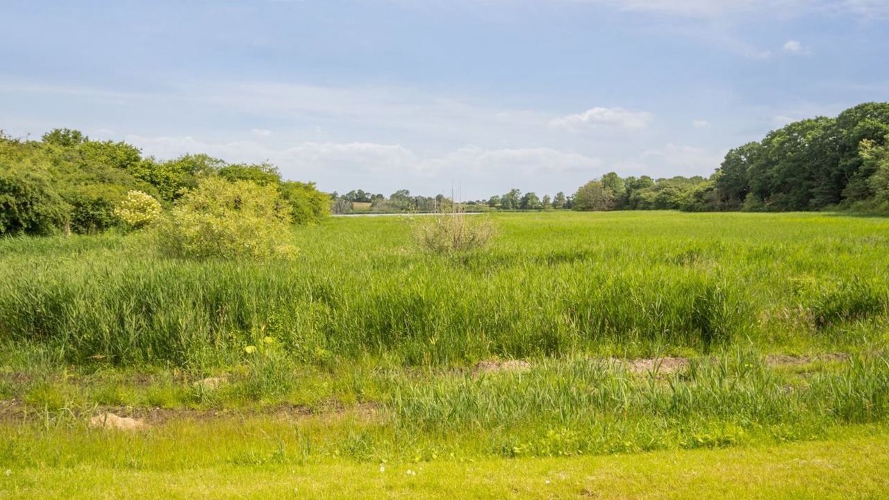 Photo of Outdoor in Diernæs
