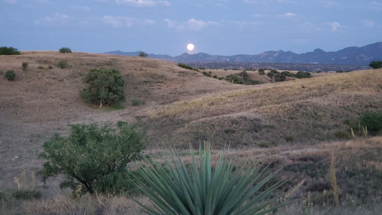 Photo of Outdoor in Sonoita