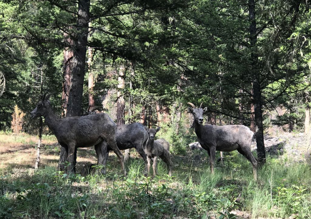 Photo of Others in Philipsburg