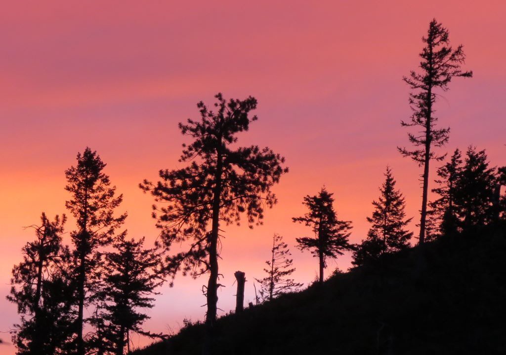 Photo of Others in Philipsburg