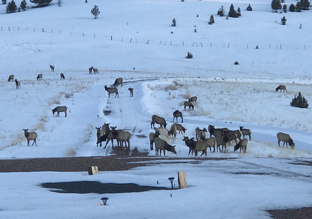 Photo of Others in Philipsburg