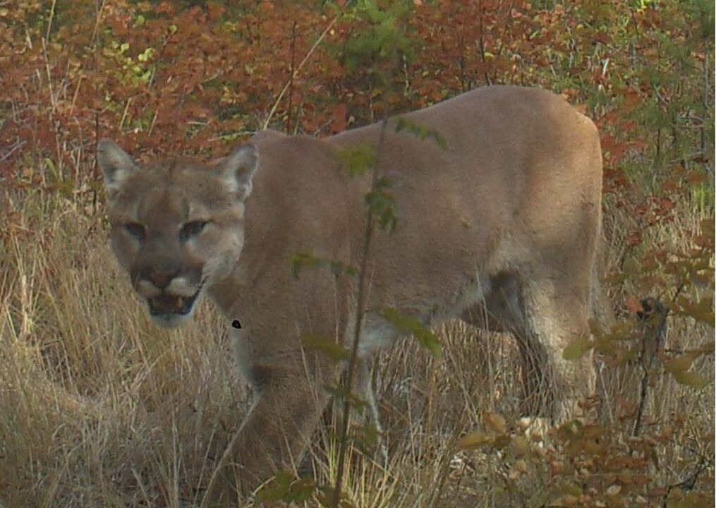 Photo of Outdoor in Philipsburg