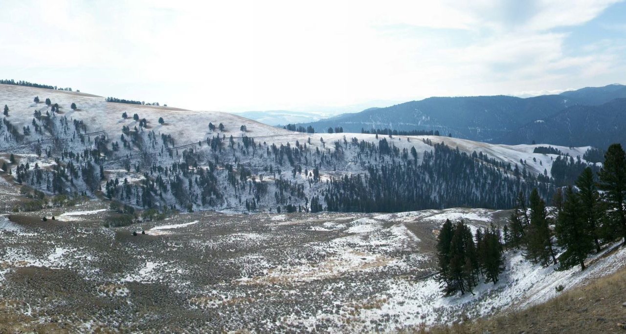 Photo of Outdoor in Philipsburg