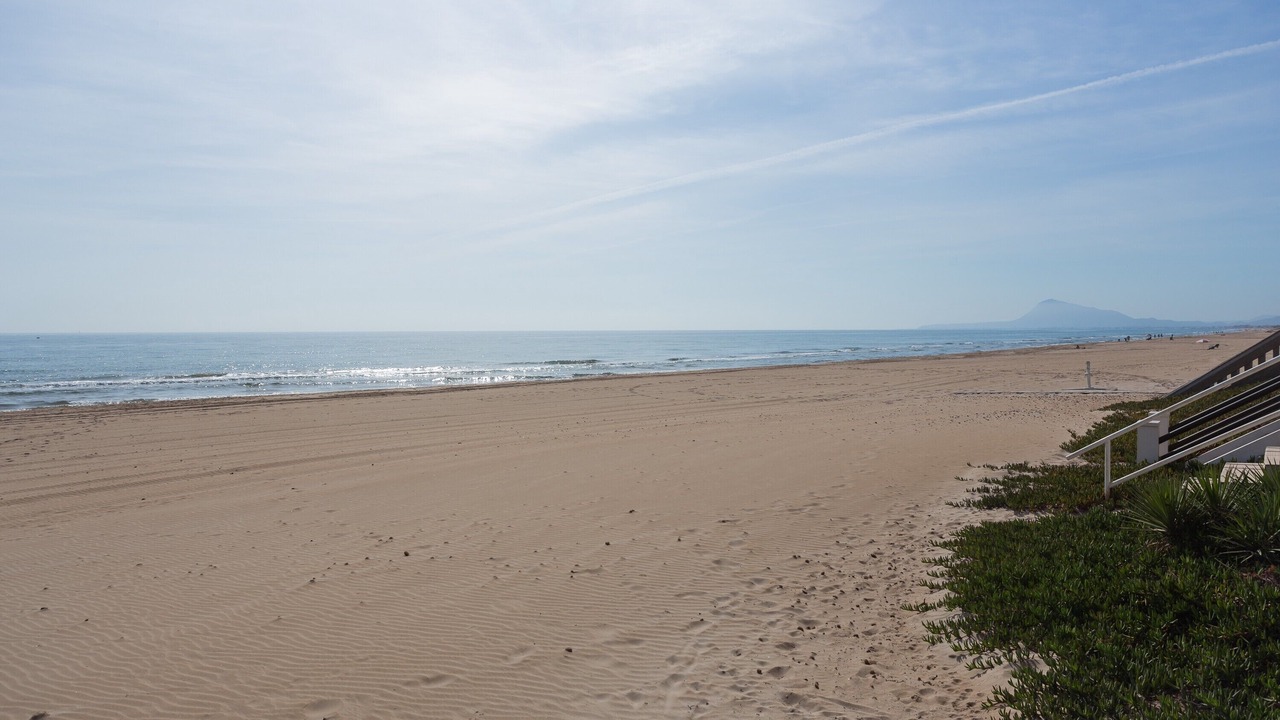 Photo of Others in Oliva