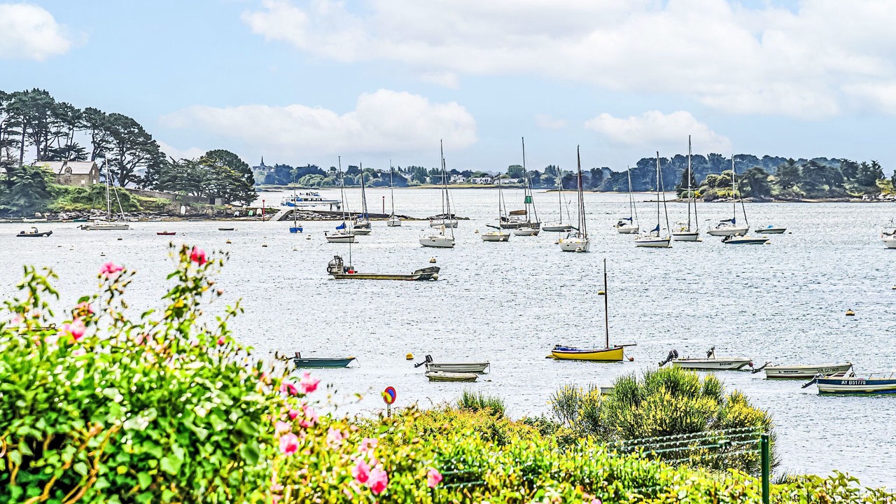 Photo of Others in Arradon