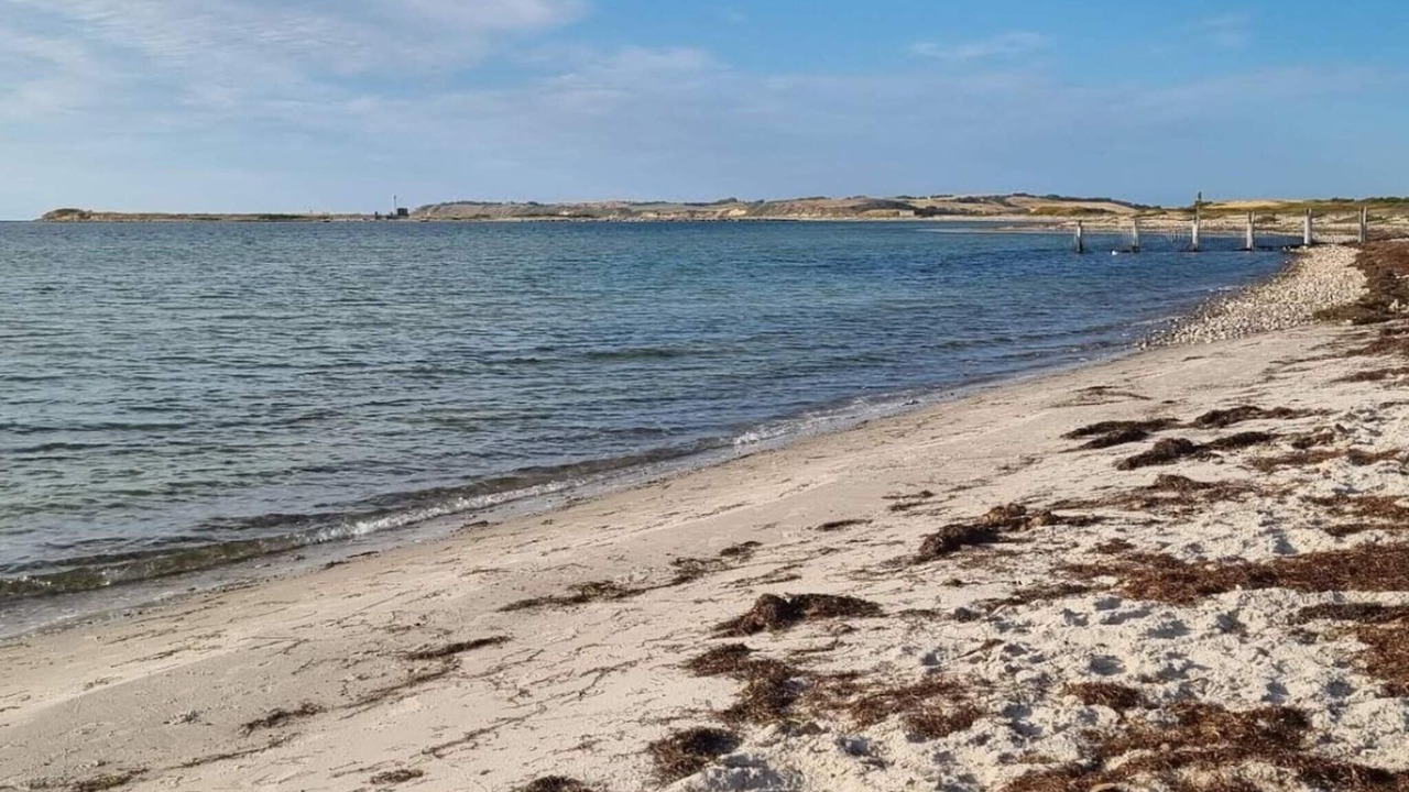 Photo of Others in Havnsø
