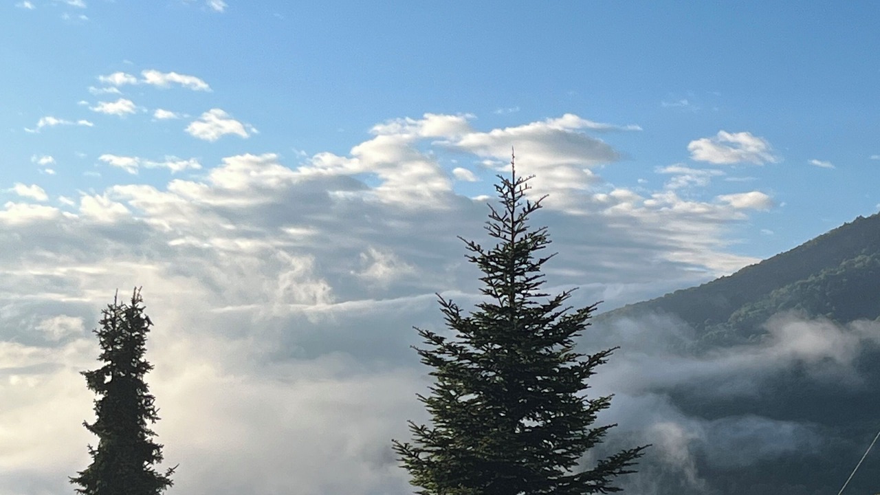 Photo of Outdoor in Vimines