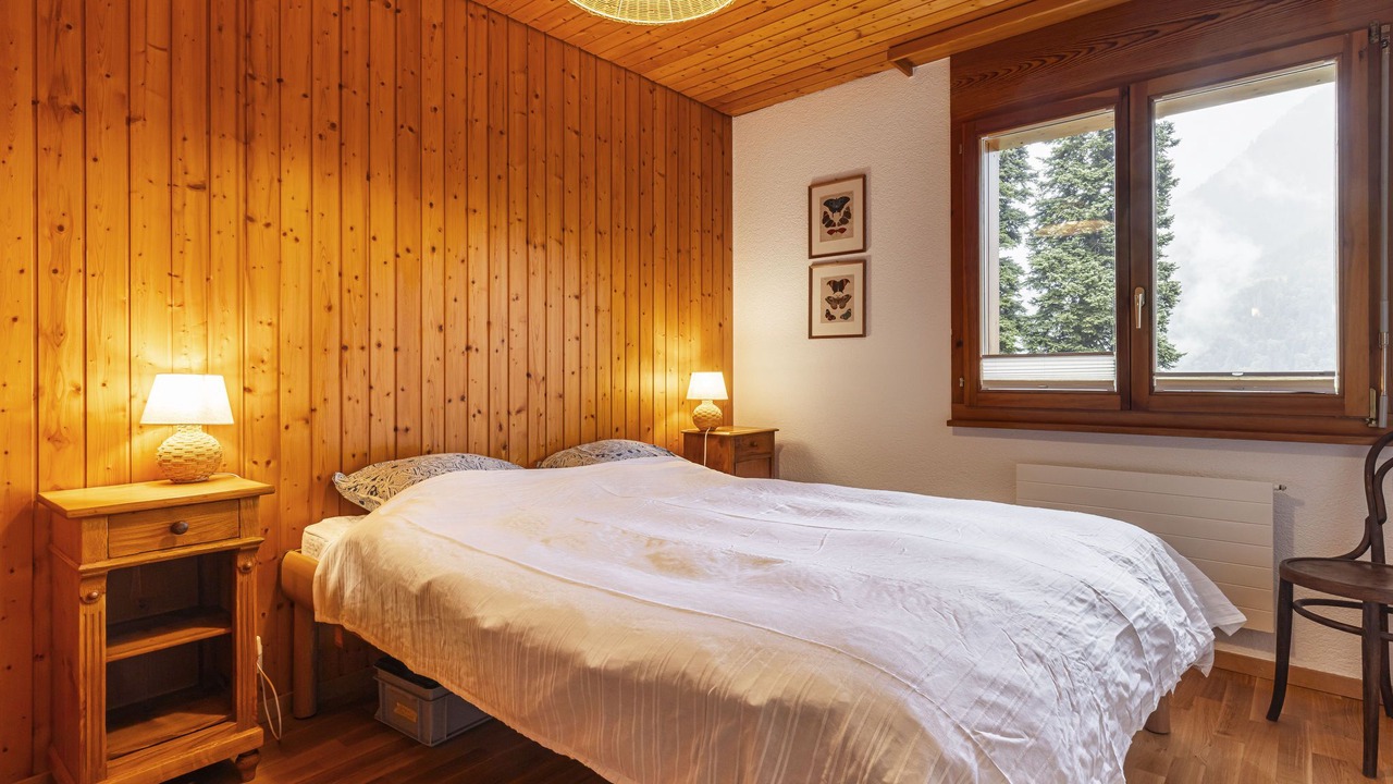 Photo of Others in Champery