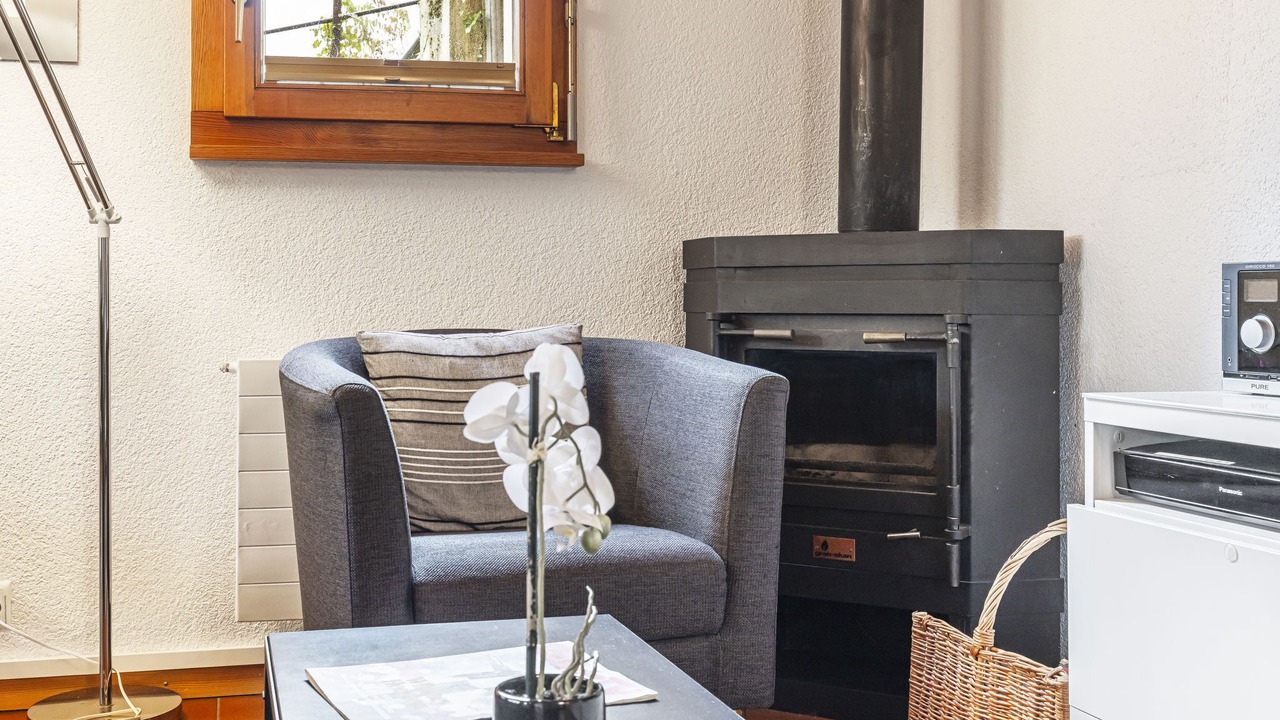 Photo of Livingroom in Champery