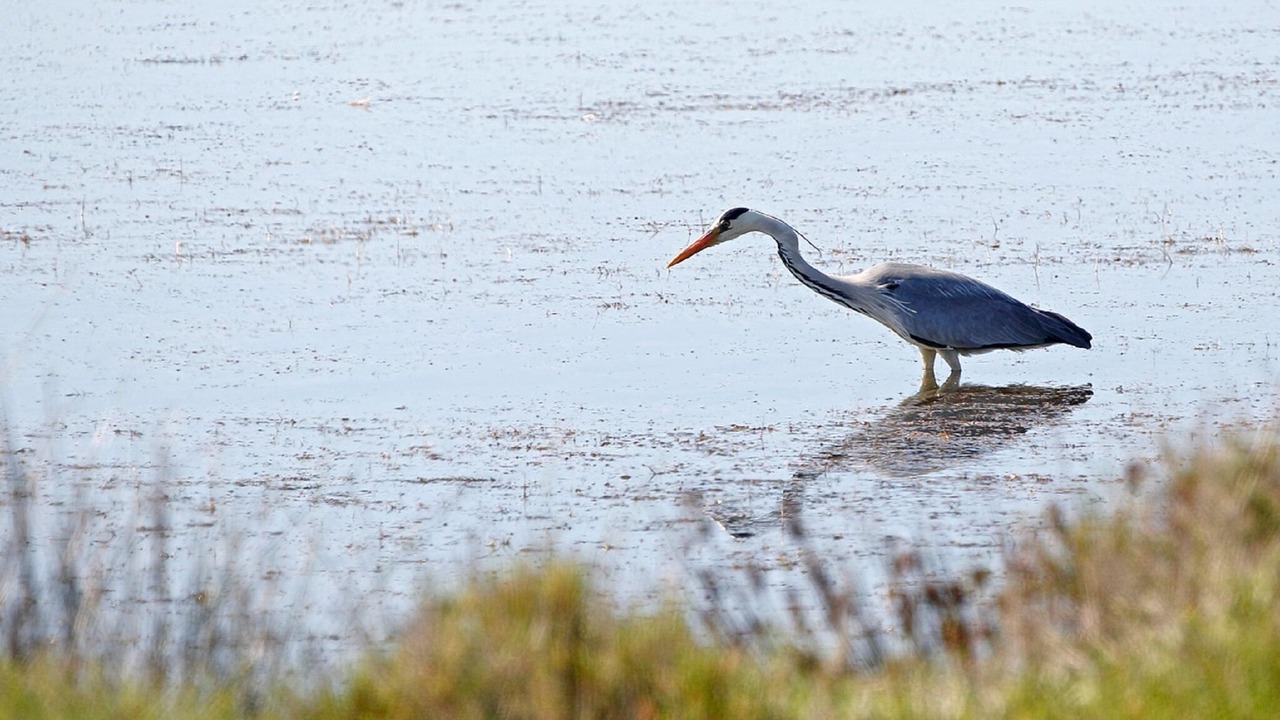 Photo of Others in Metairies-Saint-Quirin