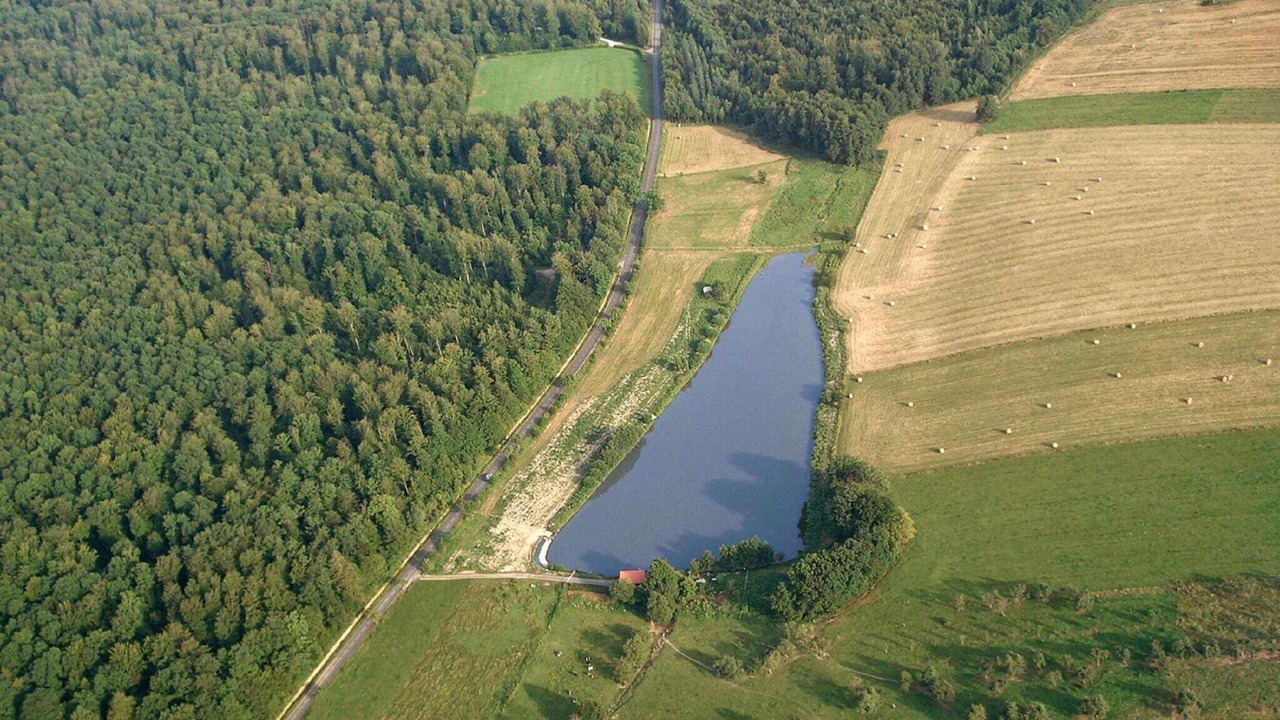 Photo of Others in Metairies-Saint-Quirin