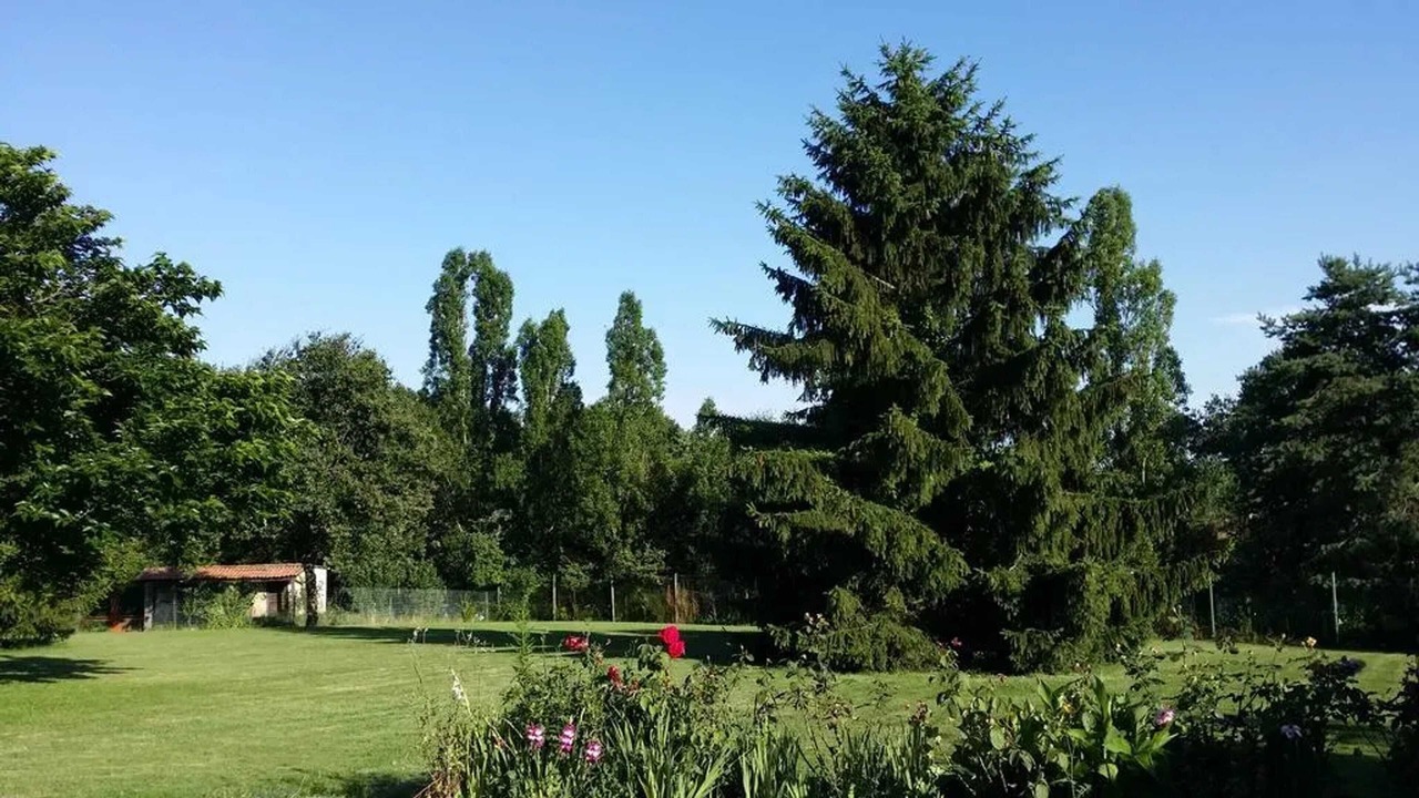 Photo of Outdoor in Mareuil-sur-Cher