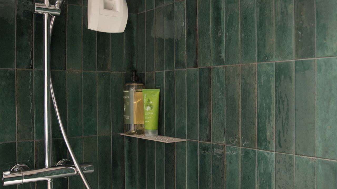 Photo of Bathroom in Clisson