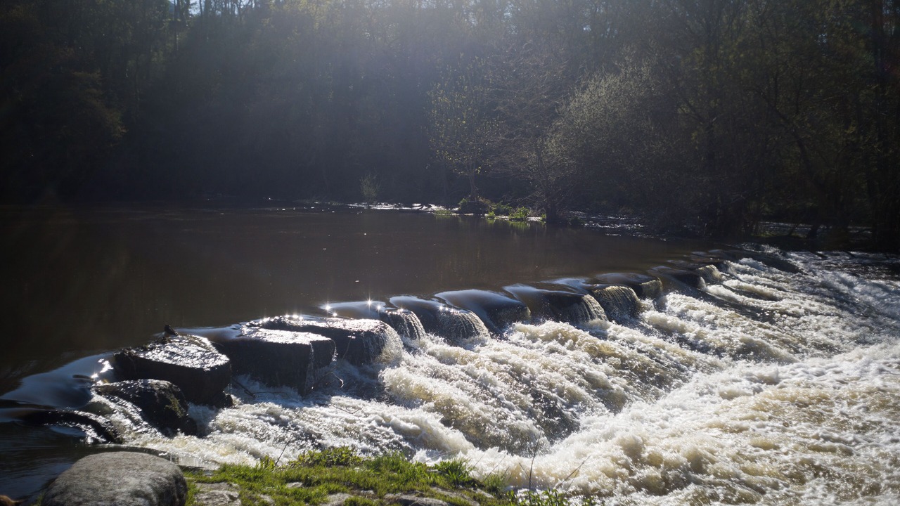 Photo of Others in Clisson