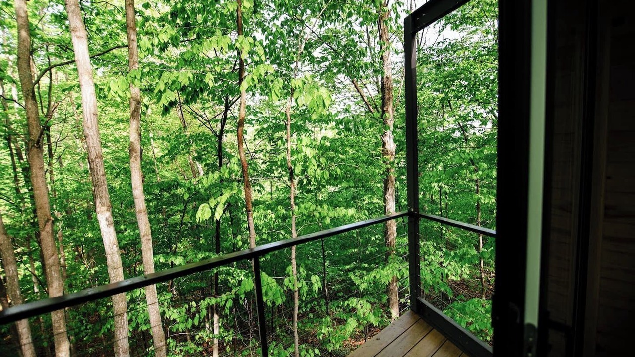 Photo of Outdoor in Charlevoix