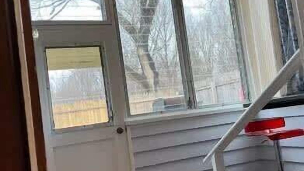 Photo of Others in Parole