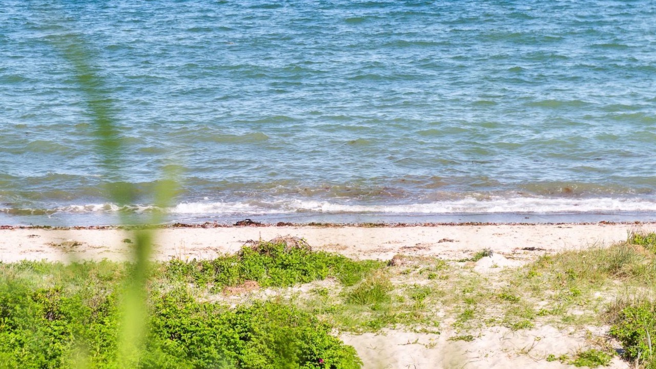 Photo of Others in Ajstrup