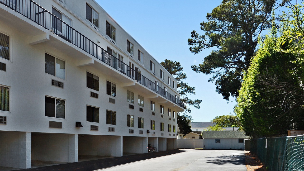 Photo of Others in The Pines