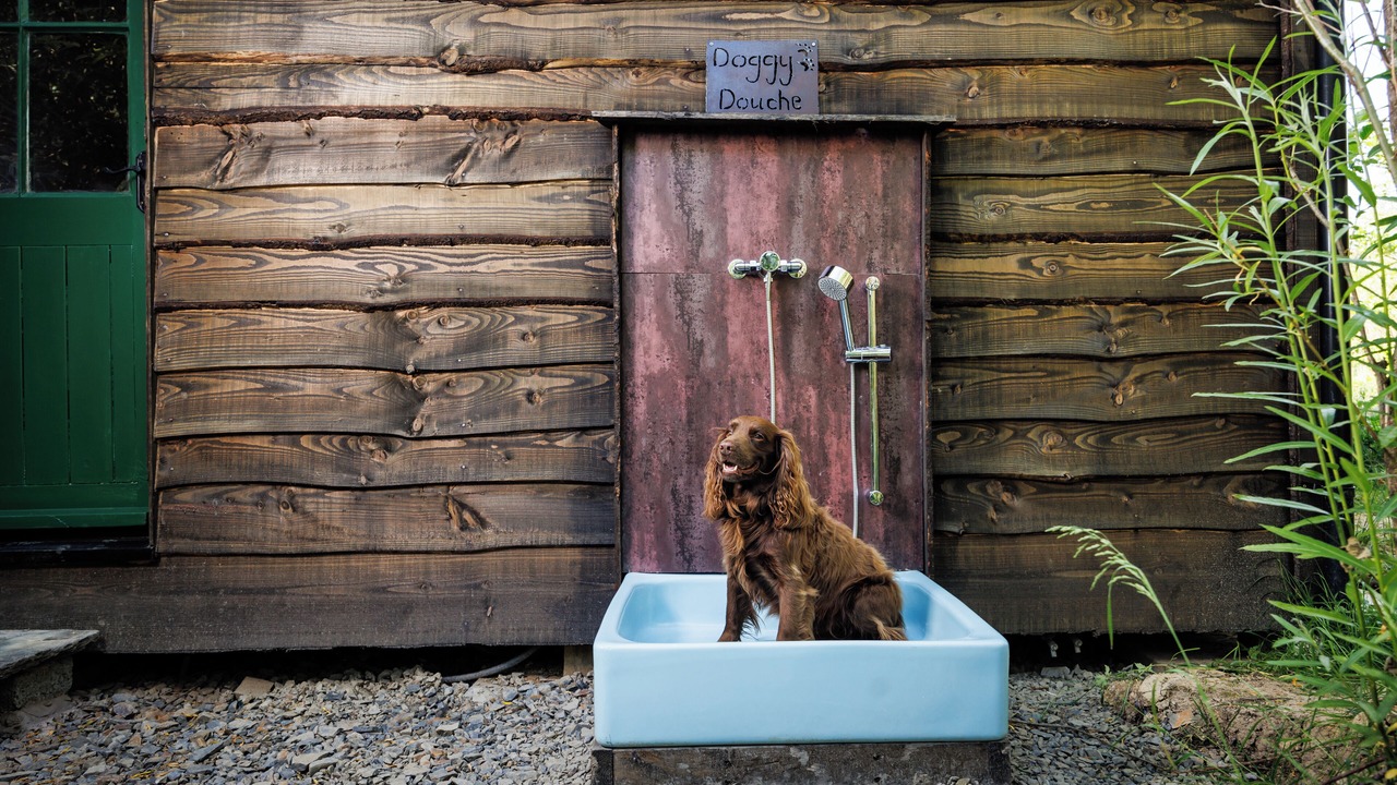 Photo of Others in Woolsery