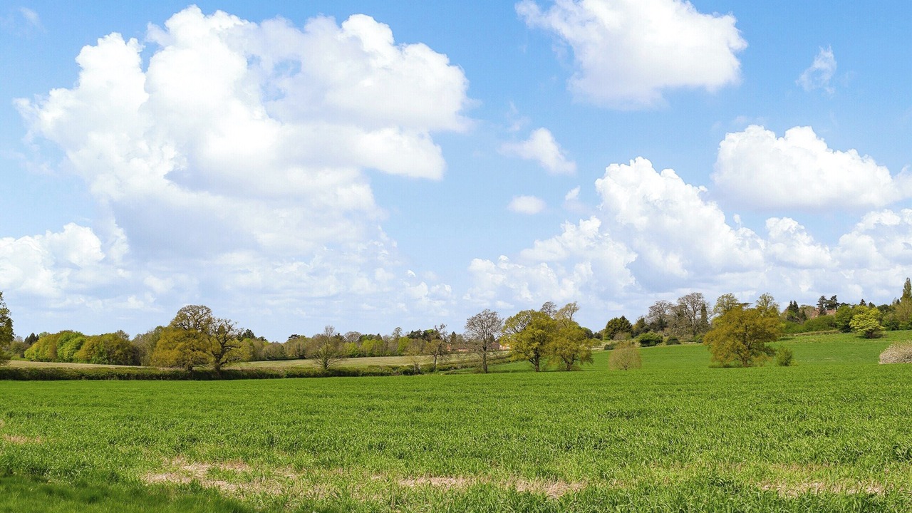 Photo of Others in Lillington