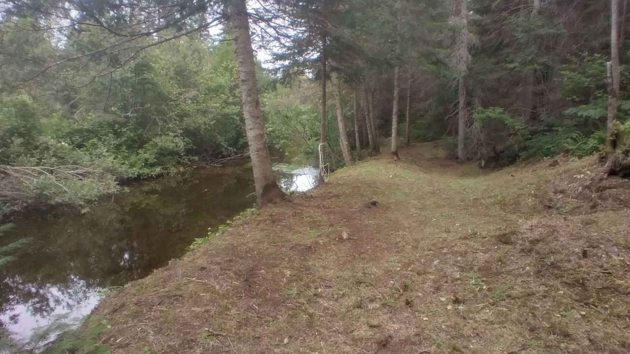 Photo of Outdoor in Lake Linden