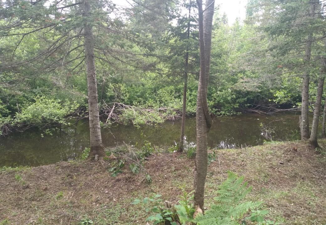 Photo of Outdoor in Lake Linden