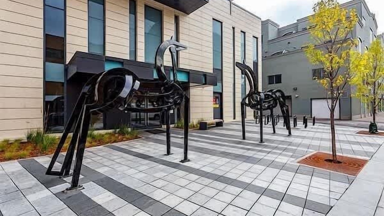 Photo of Others in Connaught