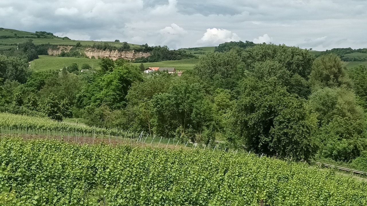 Photo of Outdoor in Avolsheim