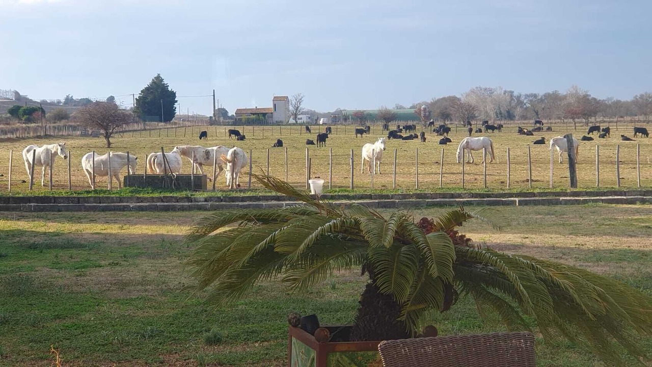 Photo of Others in Le Cailar