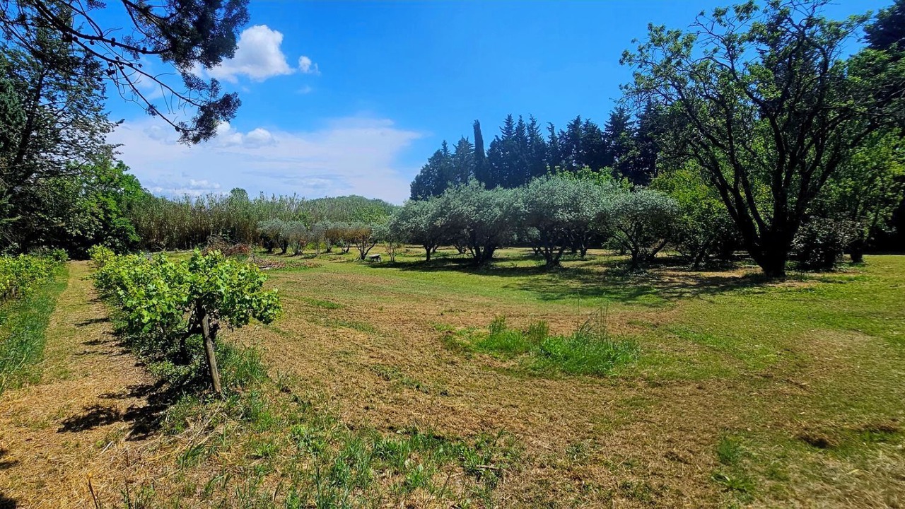 Photo of Outdoor in Sorgues