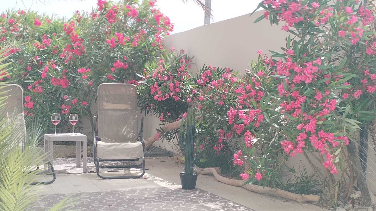 Photo of Patio Balcony in Pont-Saint-Esprit