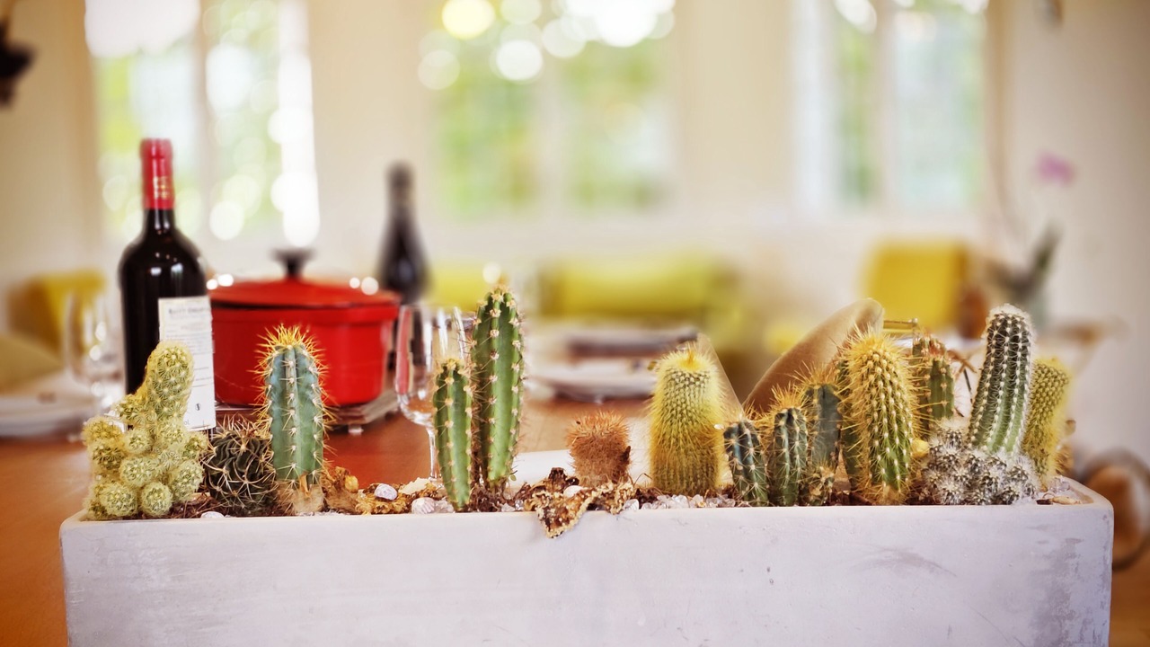 Photo of Others in Morlaix