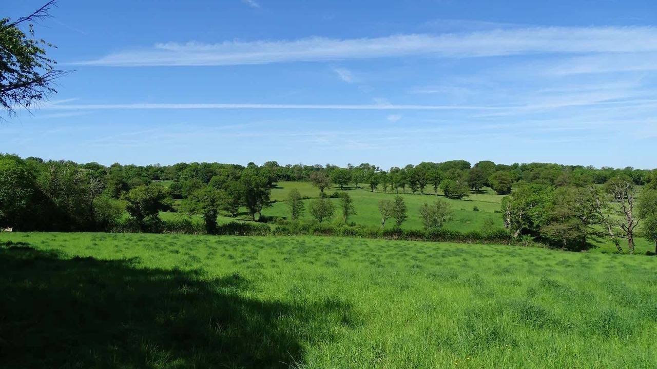 Photo of Others in Saint-Sebastien