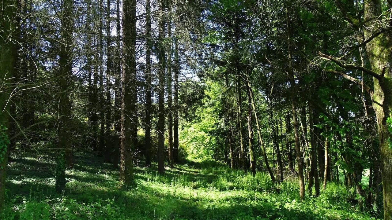 Photo of Outdoor in Saint-Sebastien