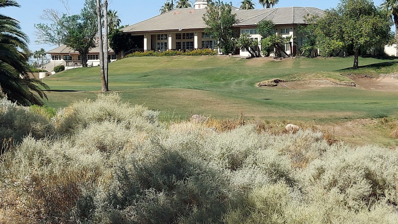 Photo of Others in Superstition Springs