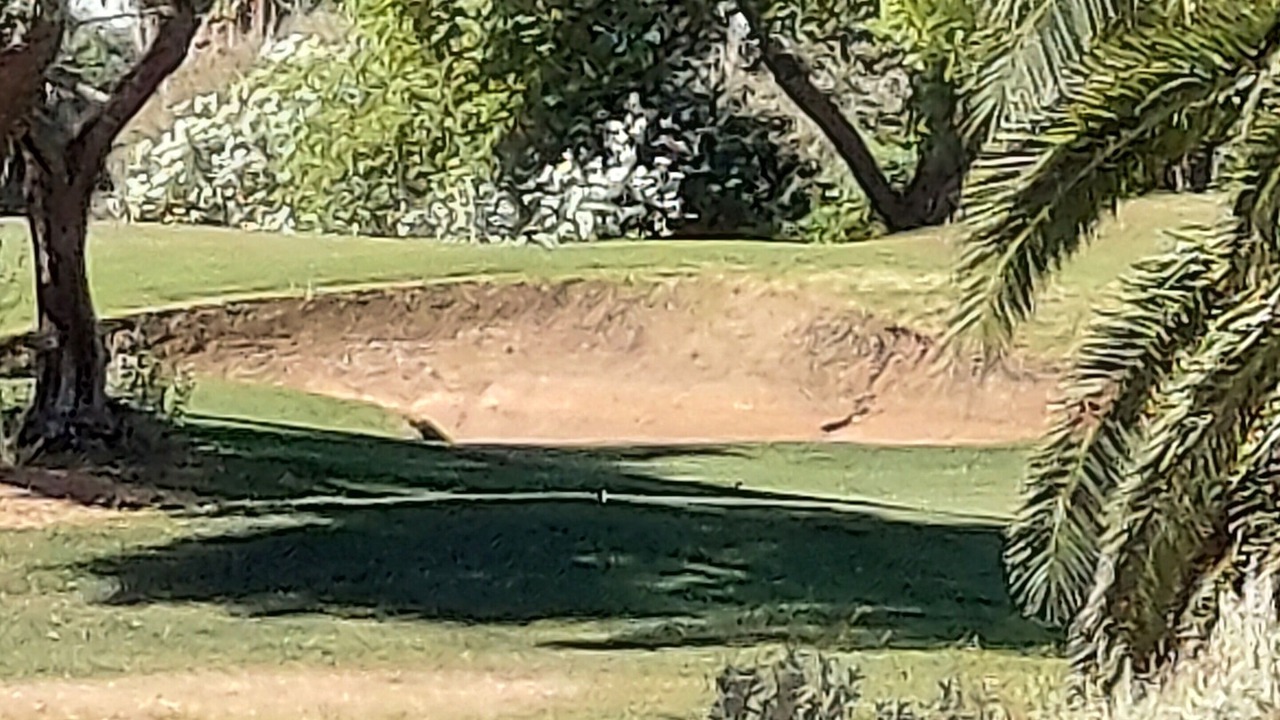 Photo of Others in Superstition Springs