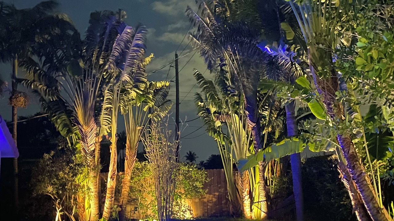 Photo of Outdoor in Boca Raton