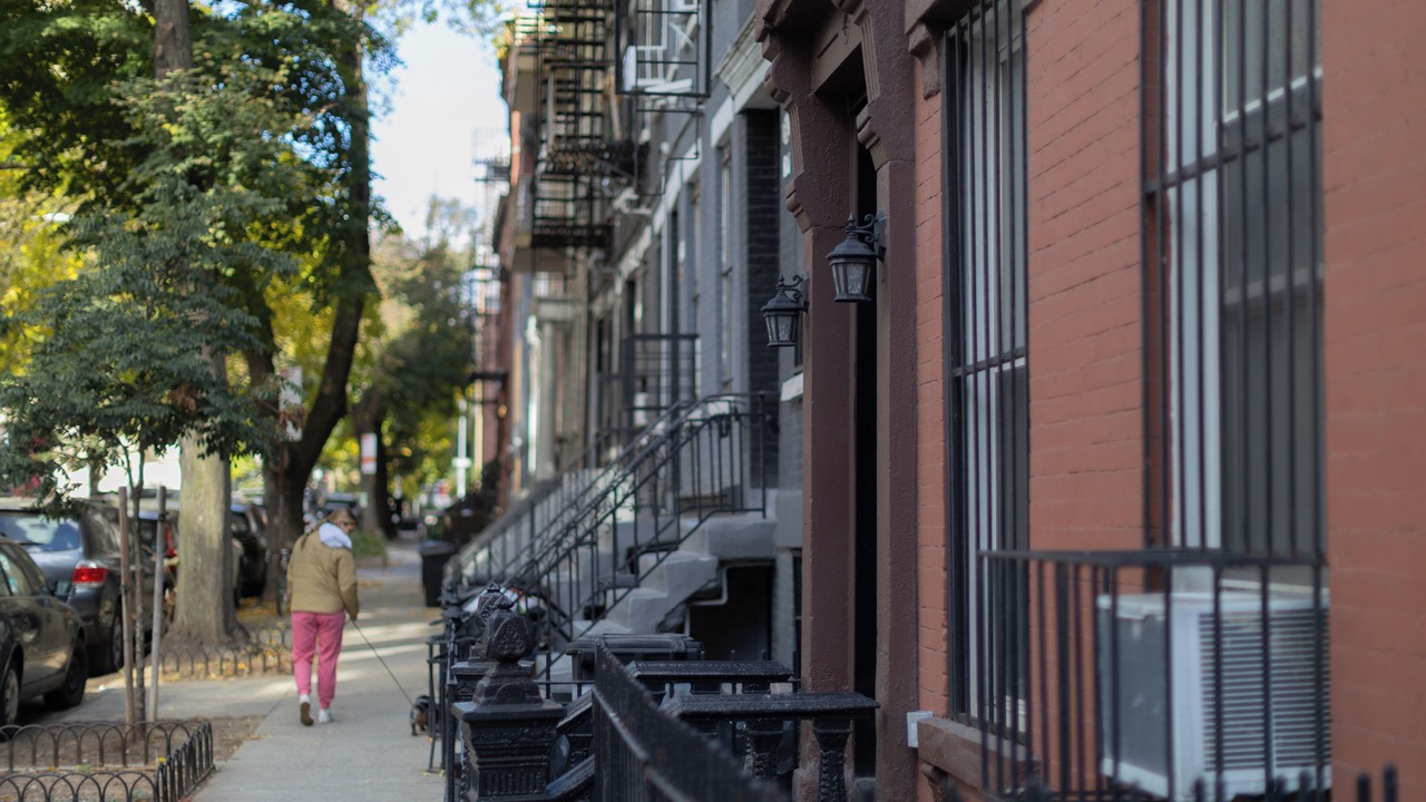 Photo of Others in Downtown Brooklyn