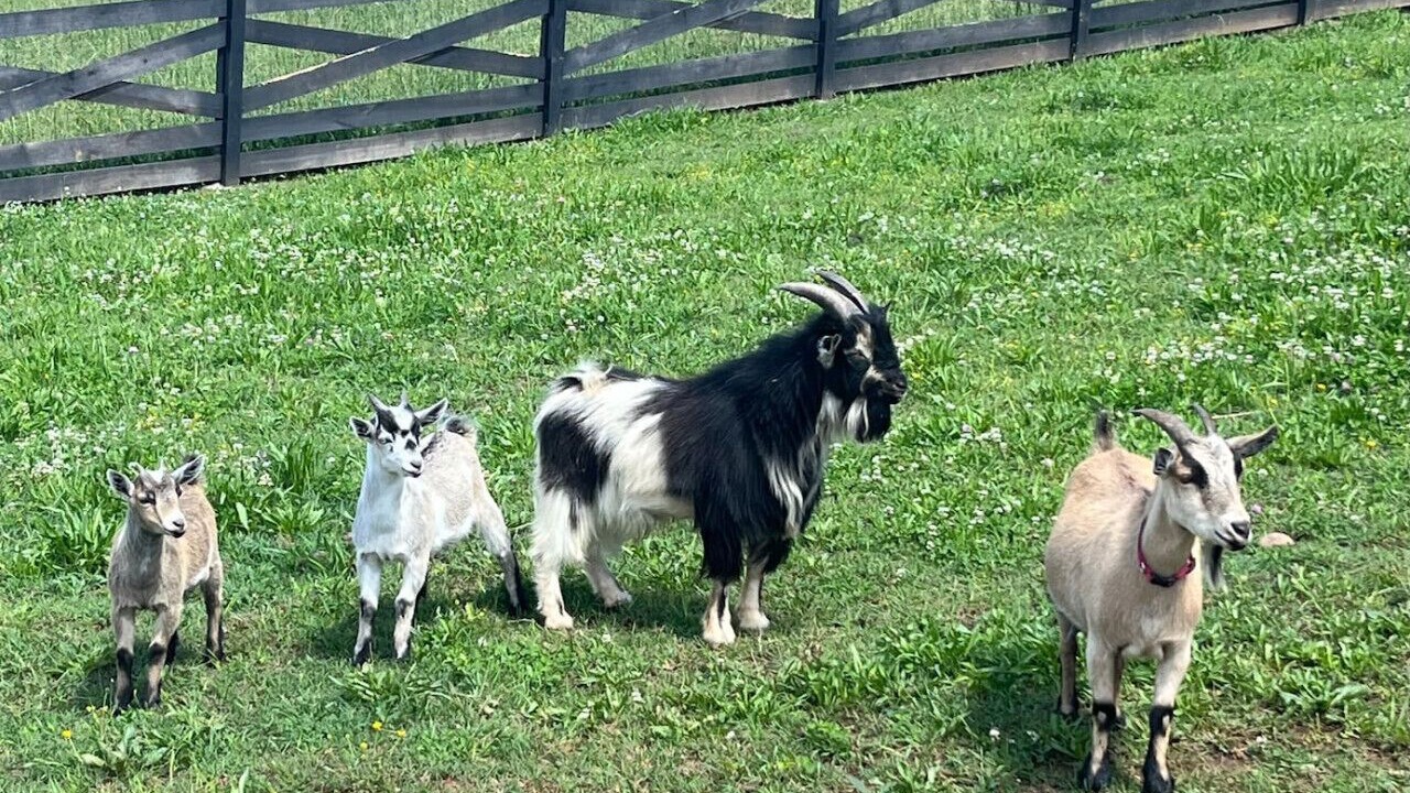 Photo of Others in Knox County
