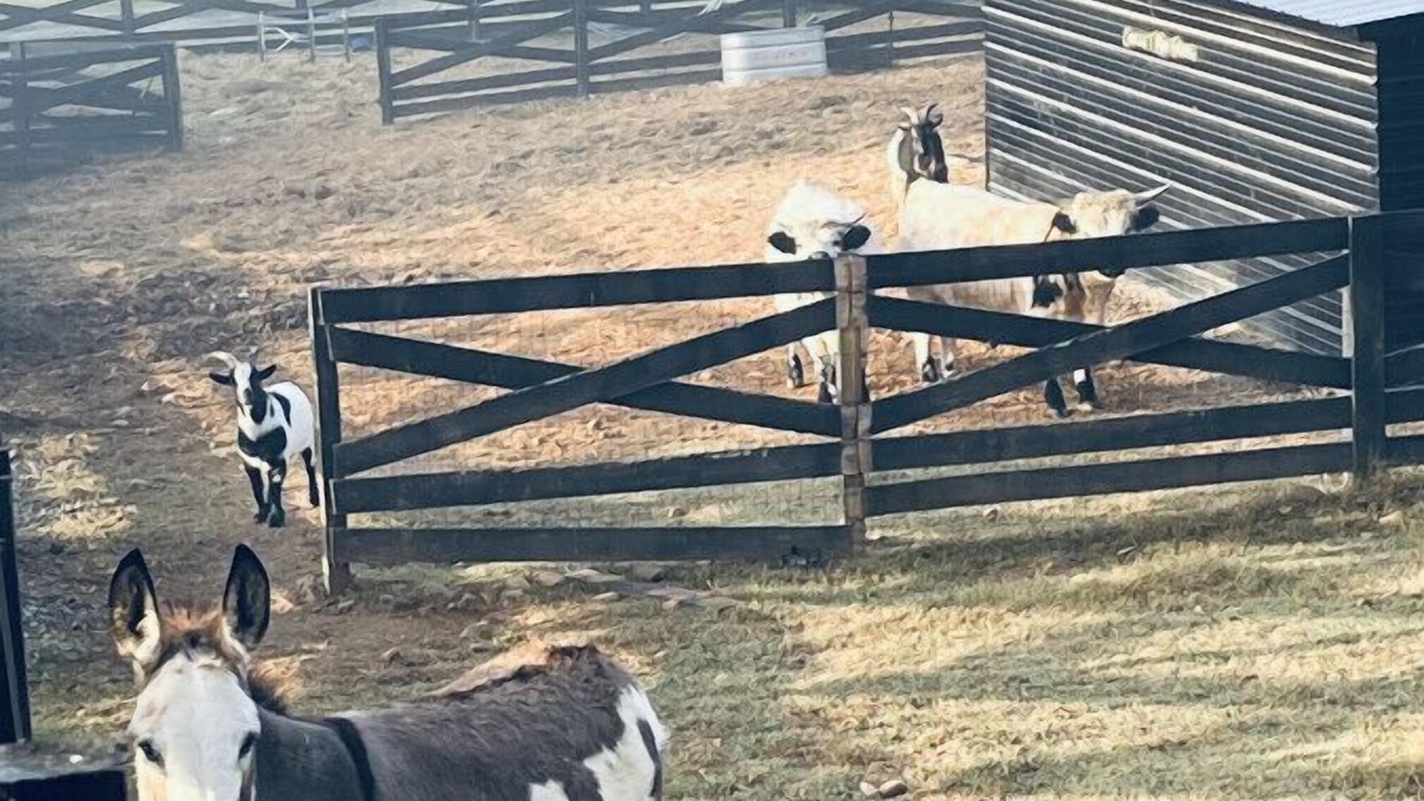 Photo of Outdoor in Knox County