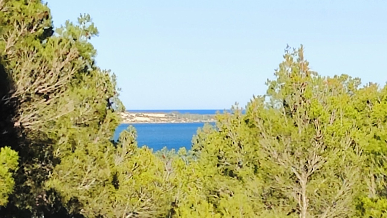 Photo of Others in Sigean