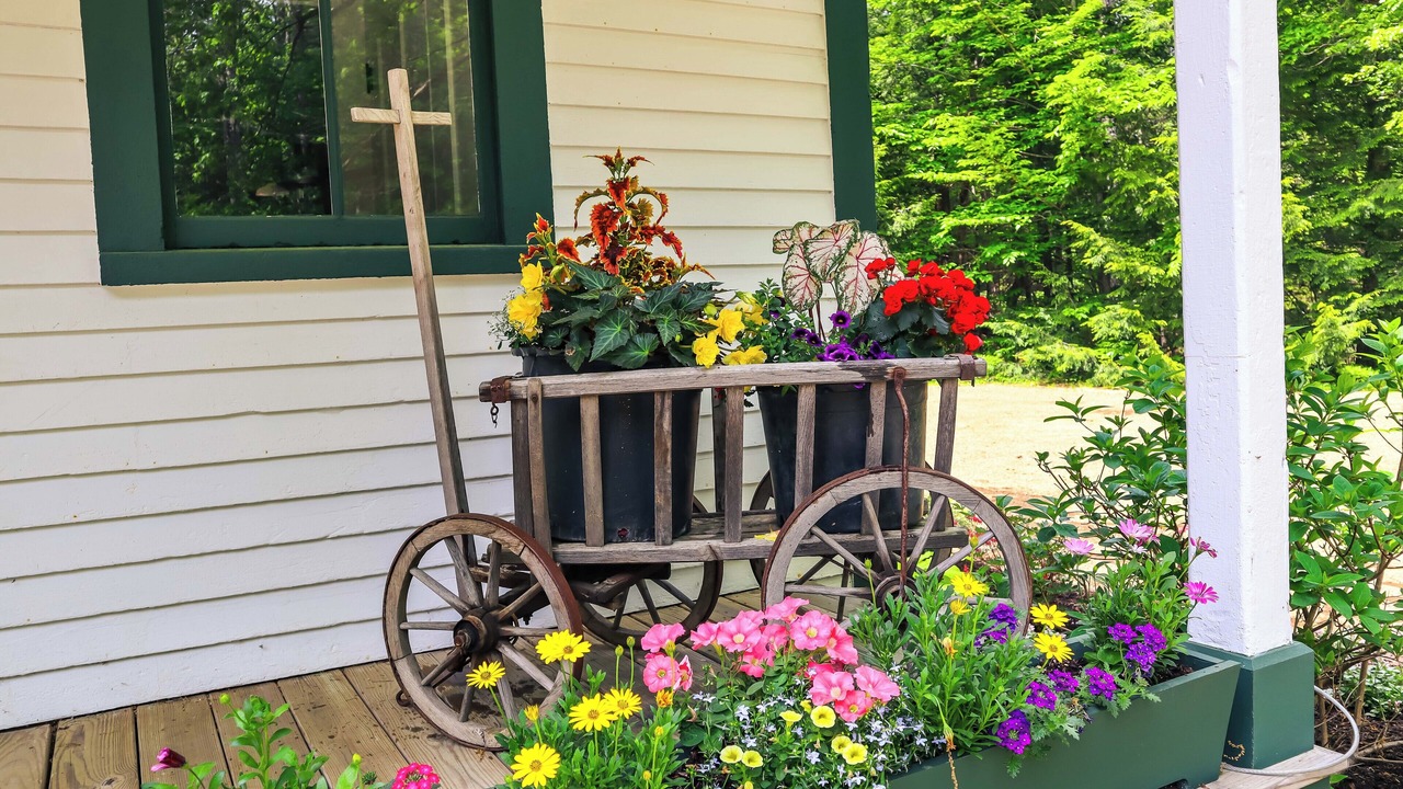 Photo of Outdoor in Hebron
