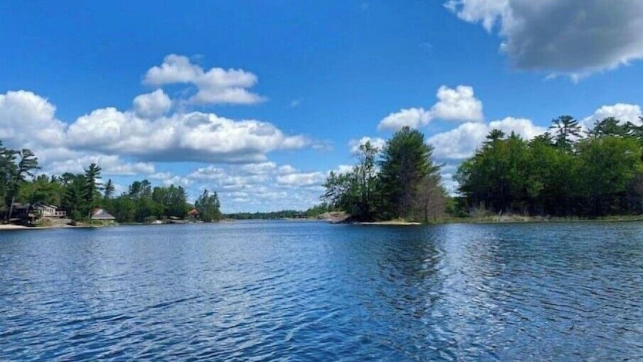 Photo of Others in Honey Harbour